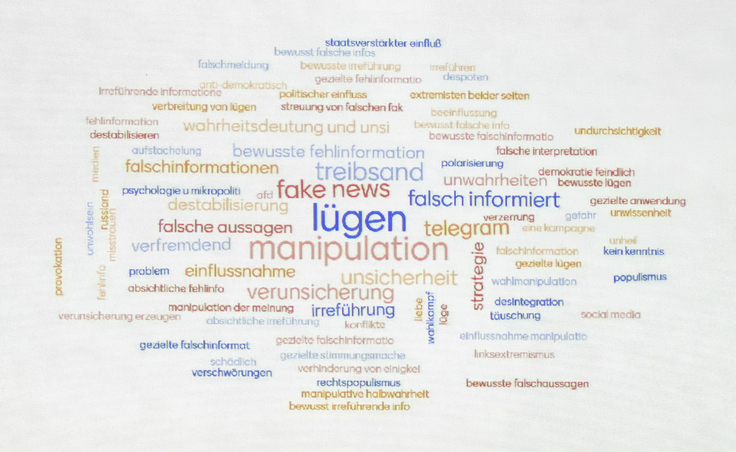 Stimmungsbild "Was verbinden Sie mit dem Begriff "Desinformation"?